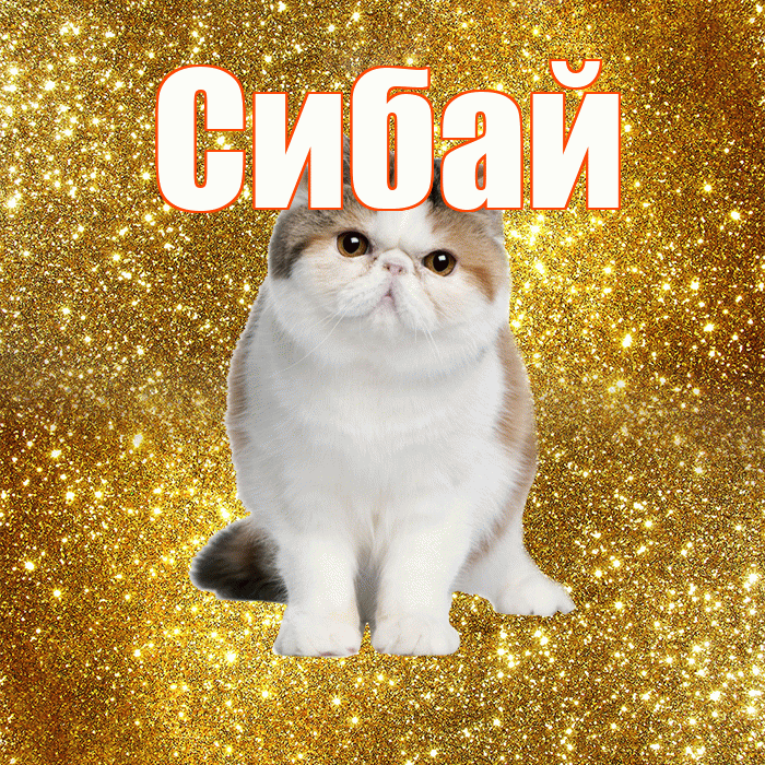 Сибай! С добрым утром! Красивая открытка Сибаю!