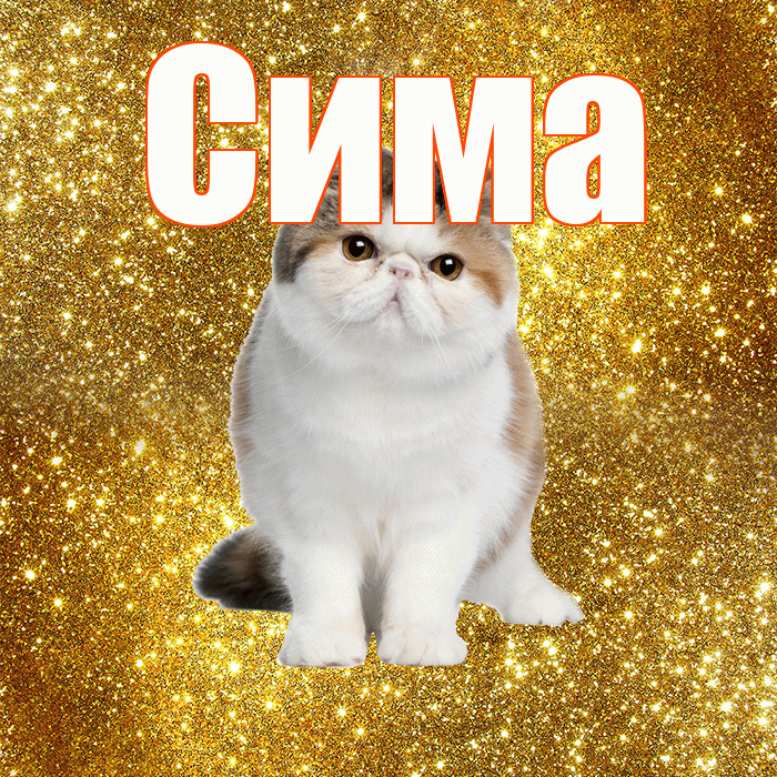Сима! С добрым утром! Красивая открытка Симе!