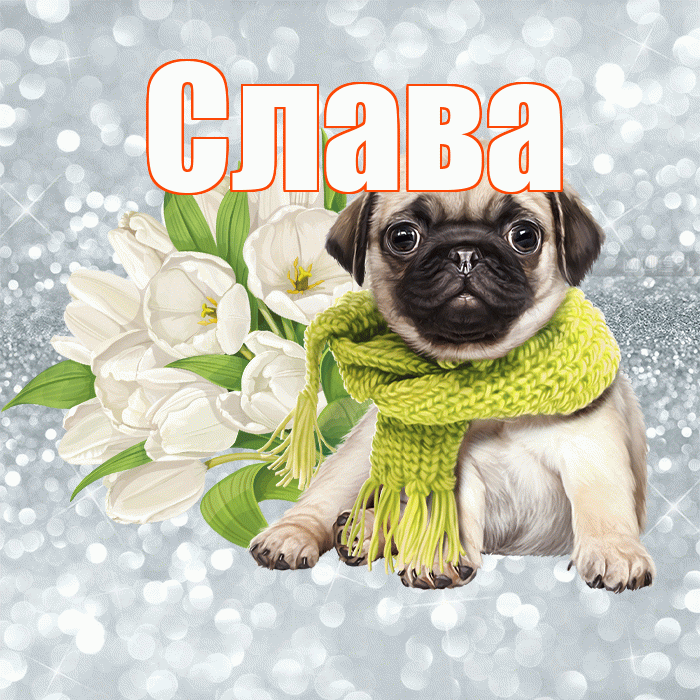 Слава! С добрым утром! Красивая открытка Славе!