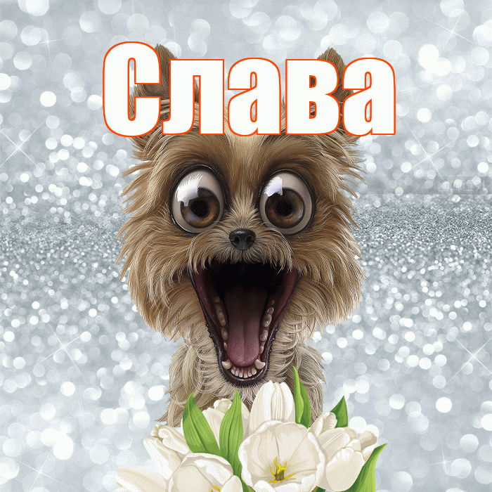 Слава! С добрым утром! Красивая открытка Славе!