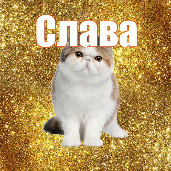 Слава! С добрым утром! Красивая открытка Славе!