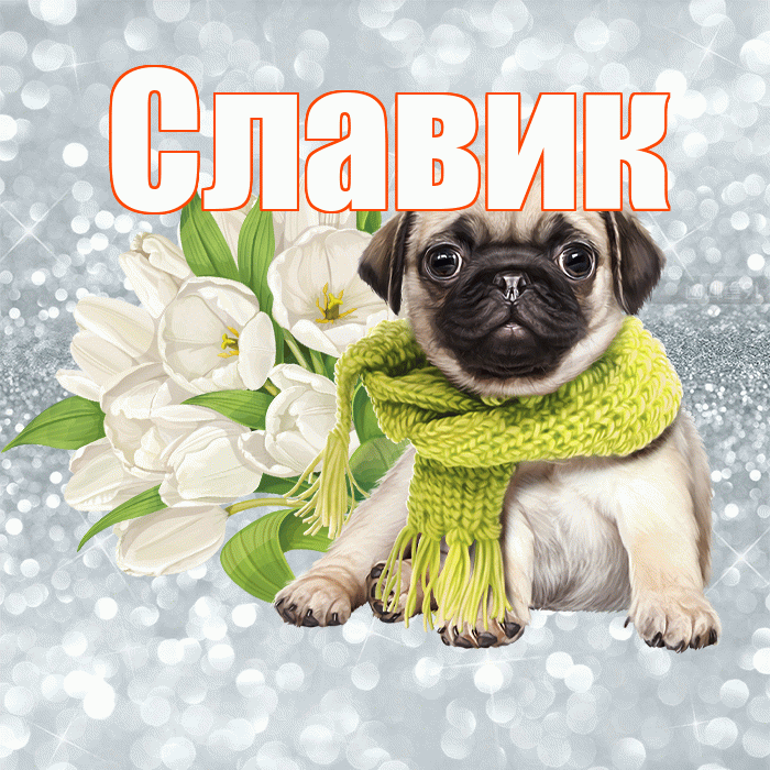 Славик! С добрым утром! Красивая открытка !