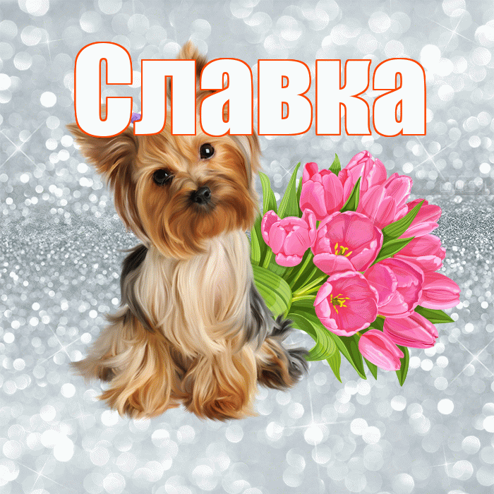 Славка! С добрым утром! Красивая открытка !