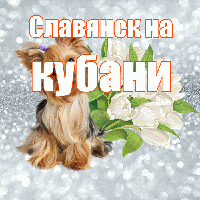 Славянск на кубани! С добрым утром! Красивая открытка !