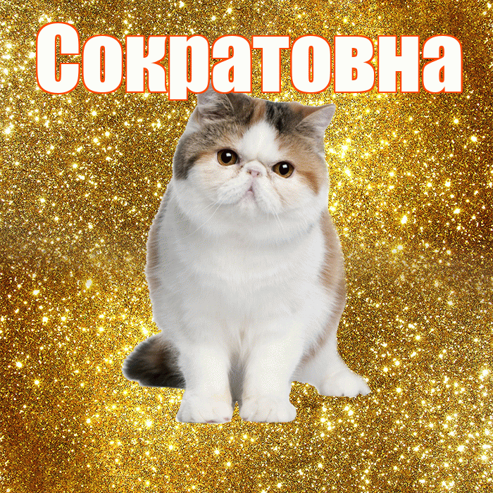 Сократовна! С добрым утром! Красивая открытка Сократовне!