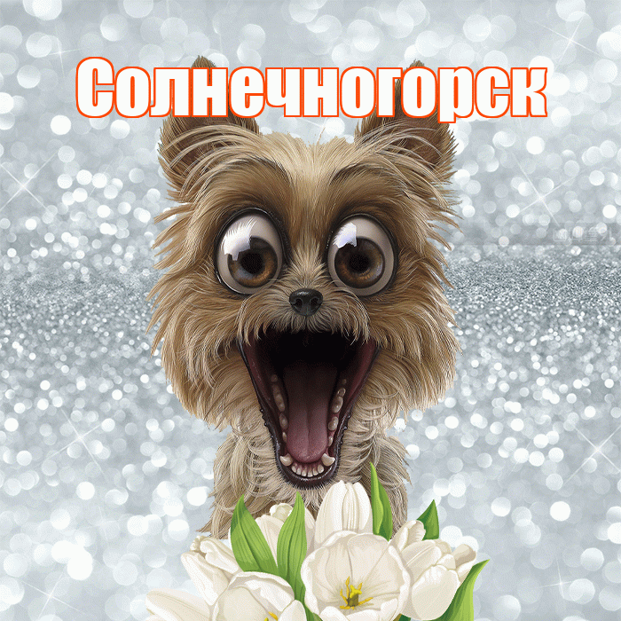 Солнечногорск! С добрым утром! Красивая открытка Солнечногорску!