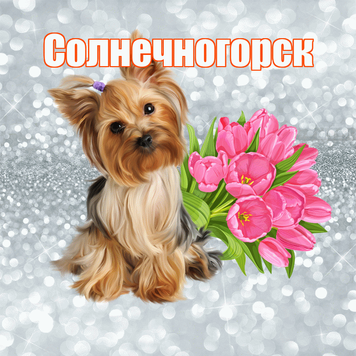 Солнечногорск! С добрым утром! Красивая открытка Солнечногорску!