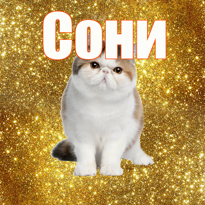 Сони! С добрым утром! Красивая открытка !