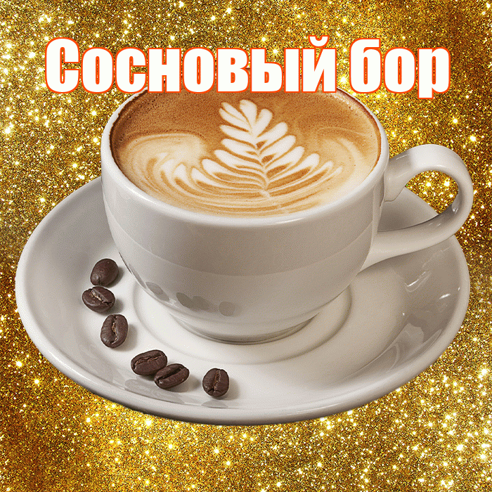 Сосновый бор! С добрым утром! Красивая открытка !