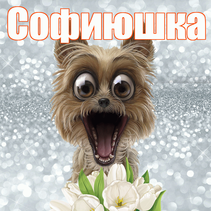Софиюшка! С добрым утром! Красивая открытка !