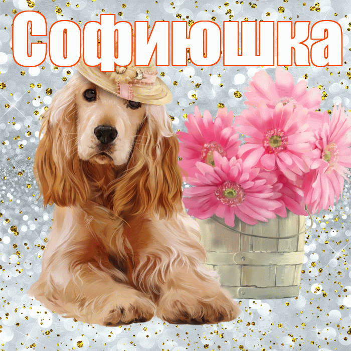 Софиюшка! С добрым утром! Красивая открытка !