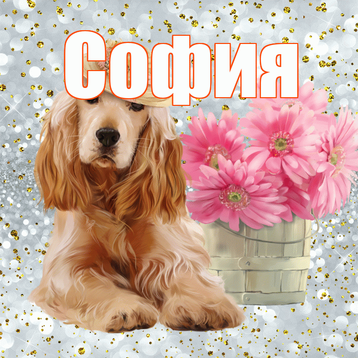 София! С добрым утром! Красивая открытка Софии!