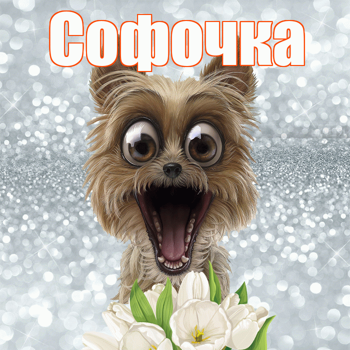 Софочка! С добрым утром! Красивая открытка !