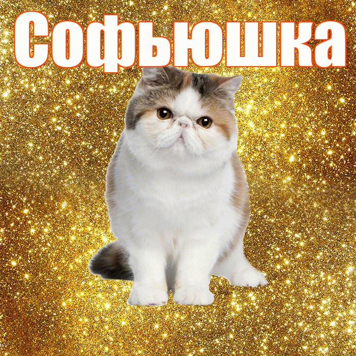 Софьюшка! С добрым утром! Красивая открытка !