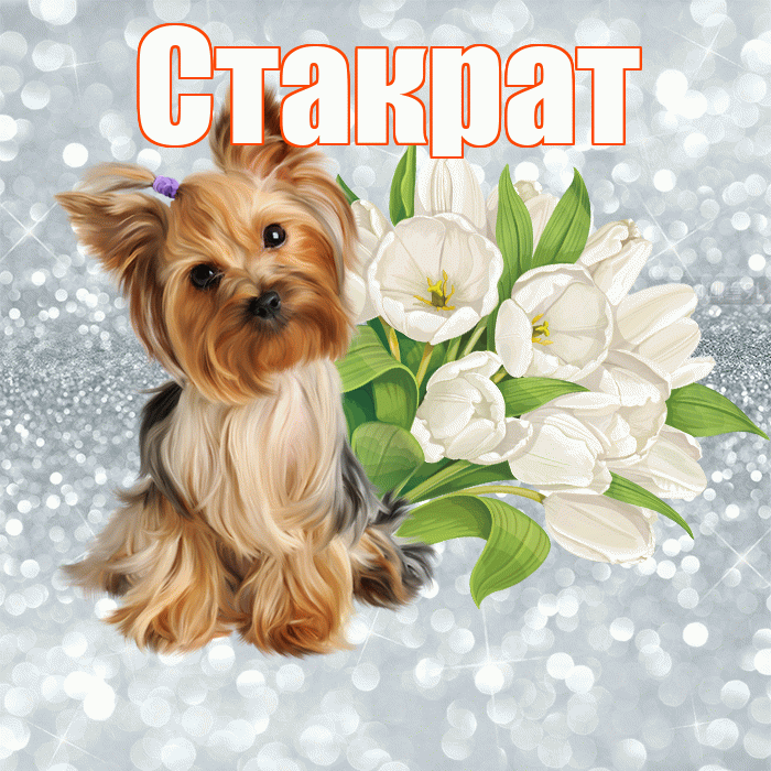 Стакрат! С добрым утром! Красивая открытка Стакрату!