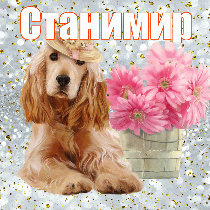 Станимир! С добрым утром! Красивая открытка Станимиру!