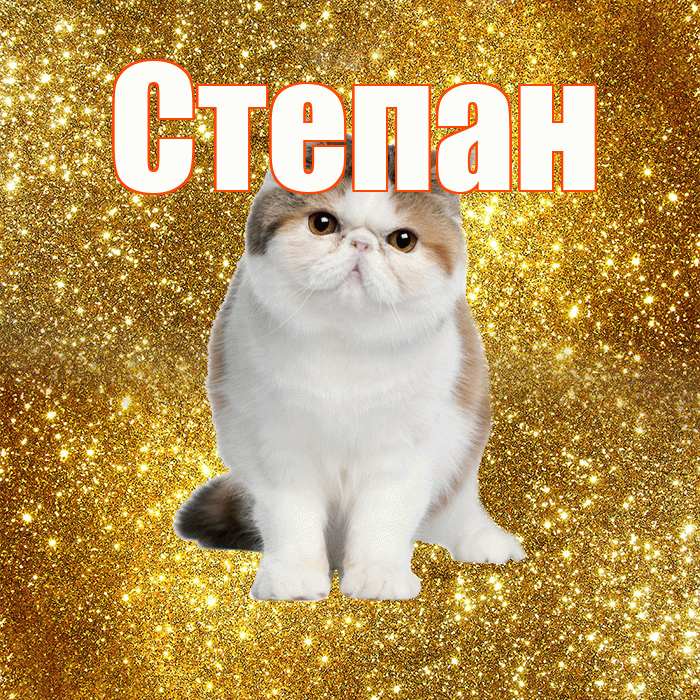 Степан! С добрым утром! Красивая открытка Степану!