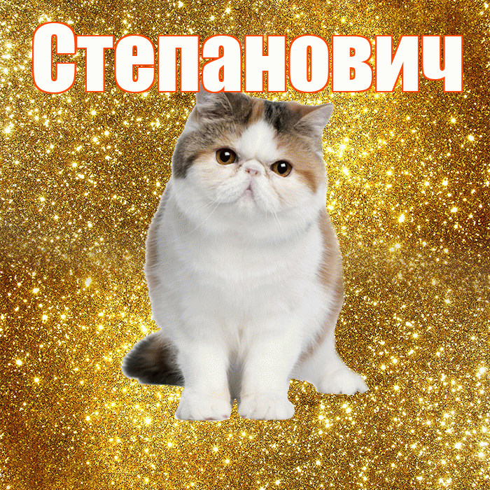 Степанович! С добрым утром! Красивая открытка Степановичу!
