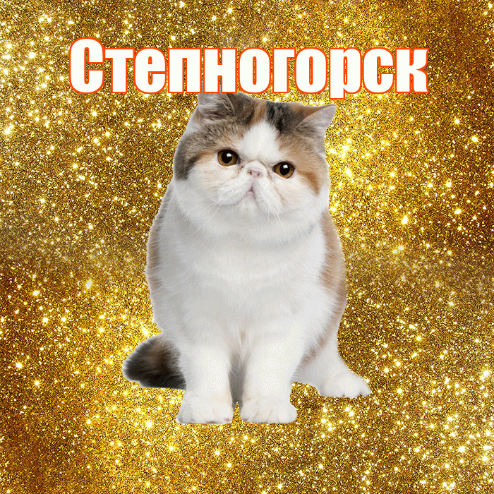 Степногорск! С добрым утром! Красивая открытка Степногорску!