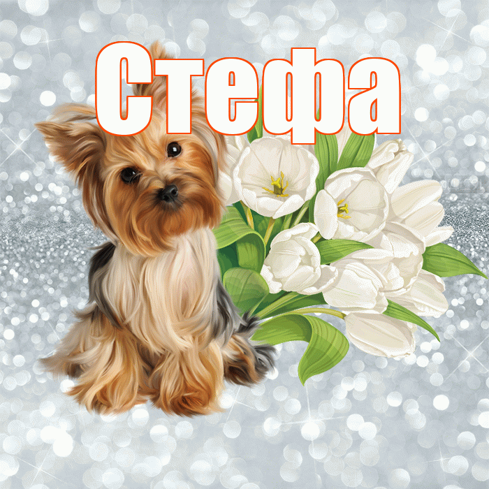 Стефа! С добрым утром! Красивая открытка !