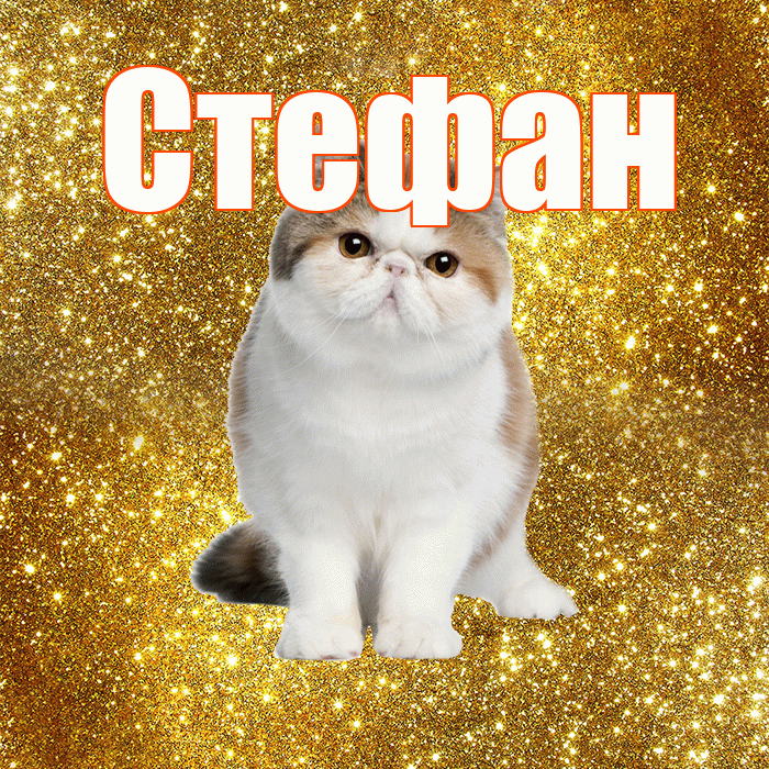 Стефан! С добрым утром! Красивая открытка Стефану!
