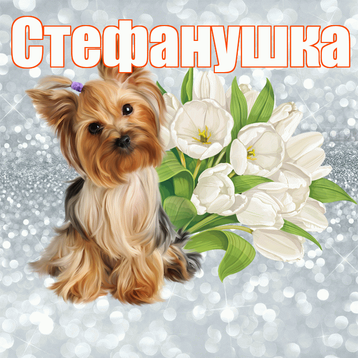 Стефанушка! С добрым утром! Красивая открытка !