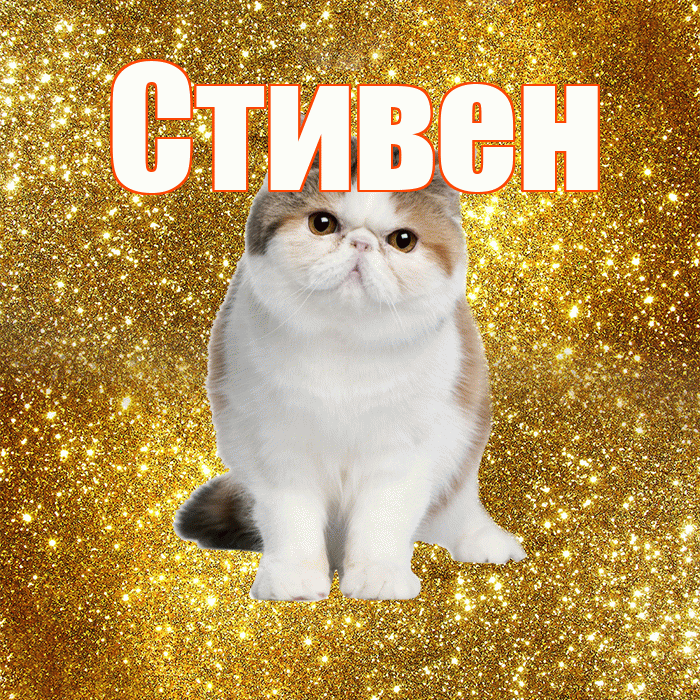 Стивен! С добрым утром! Красивая открытка Стивену!