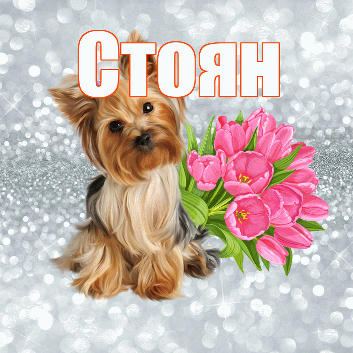 Стоян! С добрым утром! Красивая открытка Стоявшему!