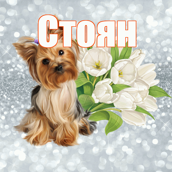 Стоян! С добрым утром! Красивая открытка Стоявшему!
