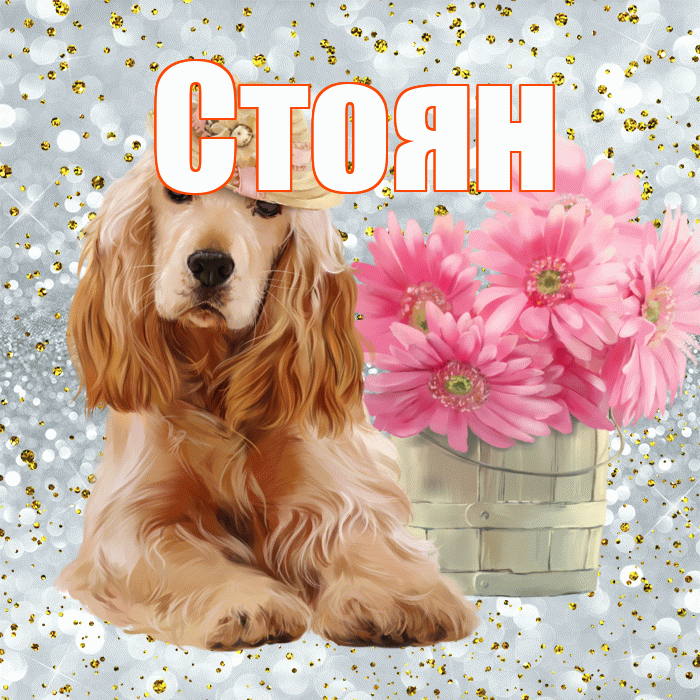 Стоян! С добрым утром! Красивая открытка Стоявшему!