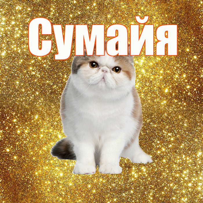 Сумайя! С добрым утром! Красивая открытка Сумайе!