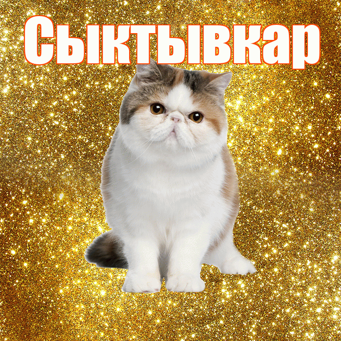 Сыктывкар! С добрым утром! Красивая открытка Сыктывкару!