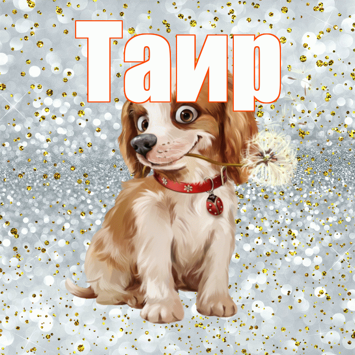 Таир! С добрым утром! Красивая открытка Таиру!