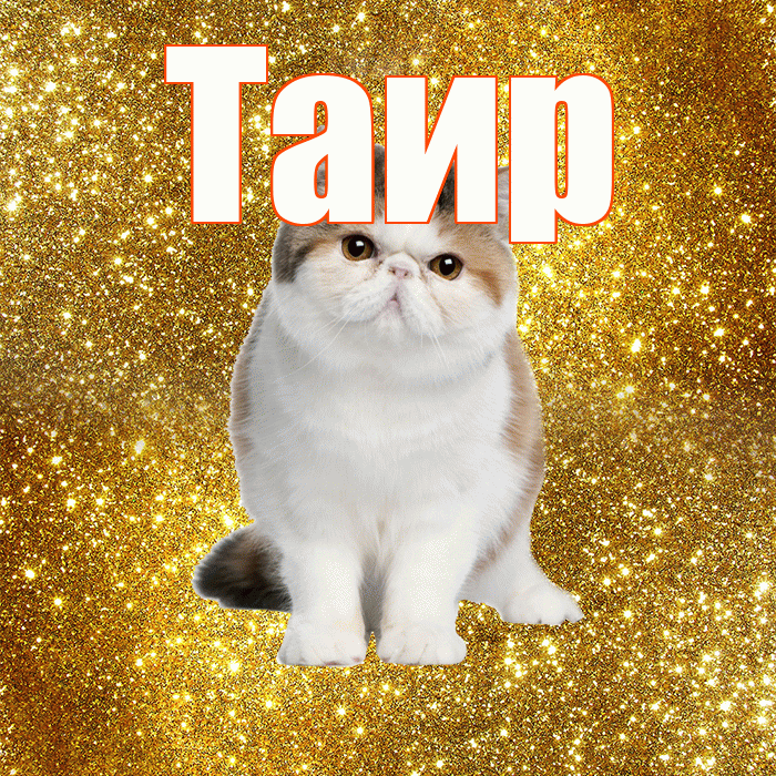 Таир! С добрым утром! Красивая открытка Таиру!
