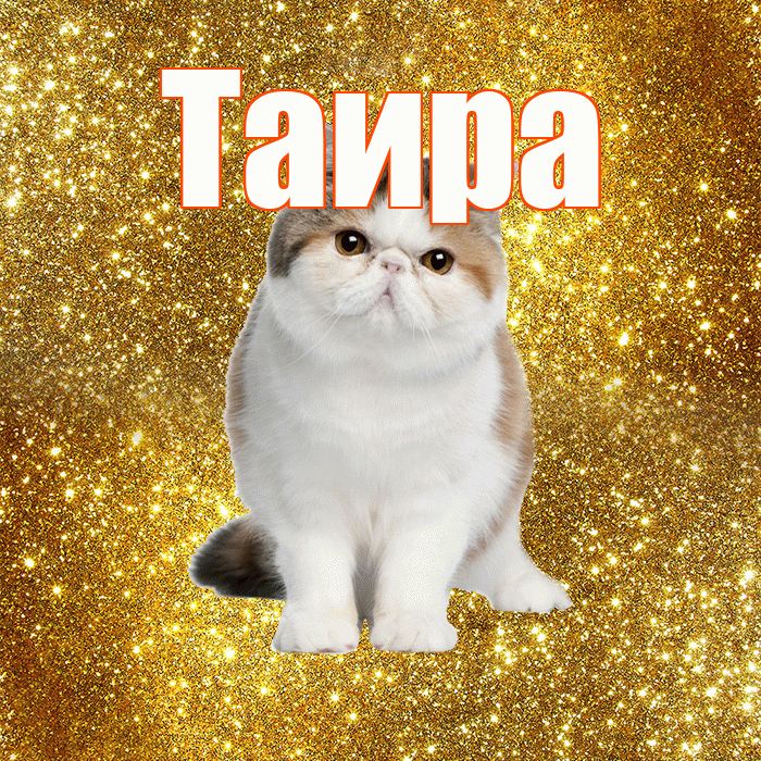 Таира! С добрым утром! Красивая открытка Таиру!
