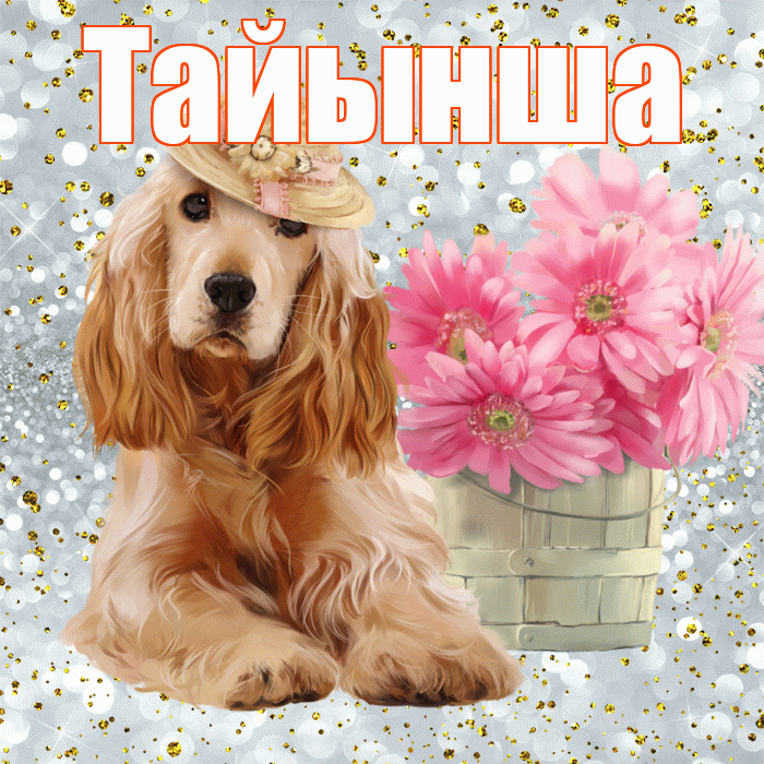 Тайынша! С добрым утром! Красивая открытка Тайынше!