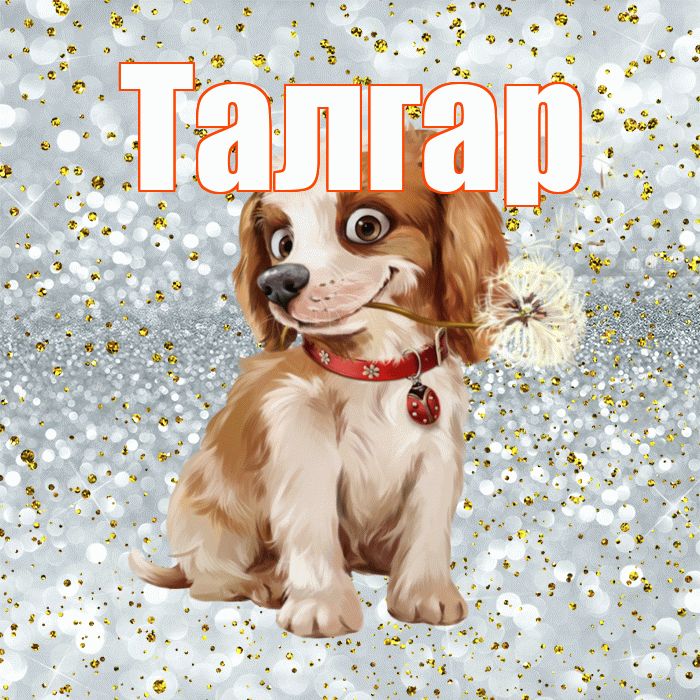 Талгар! С добрым утром! Красивая открытка Талгару!