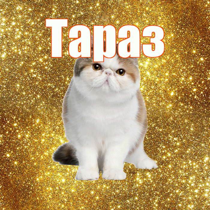 Тараз! С добрым утром! Красивая открытка Таразу!