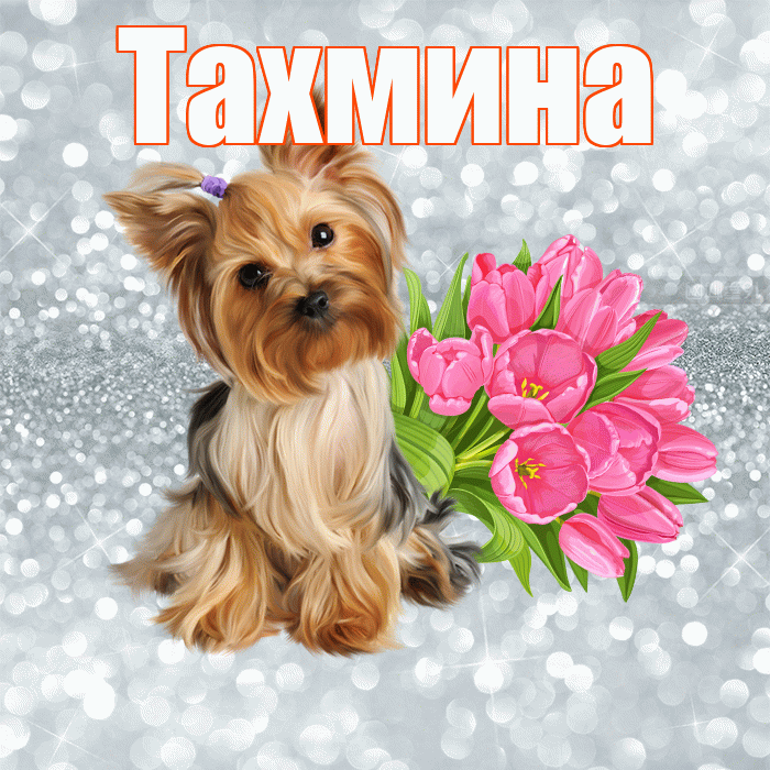 Тахмина! С добрым утром! Красивая открытка Тахмине!