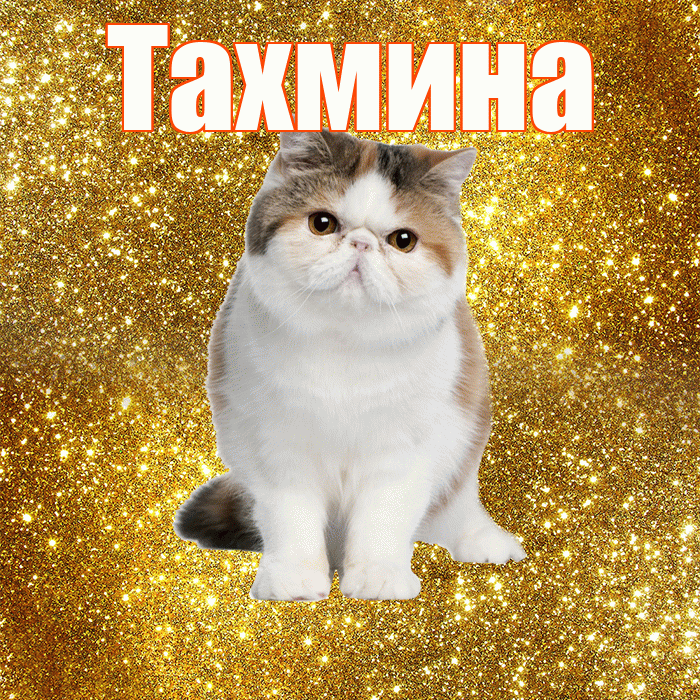 Тахмина! С добрым утром! Красивая открытка Тахмине!