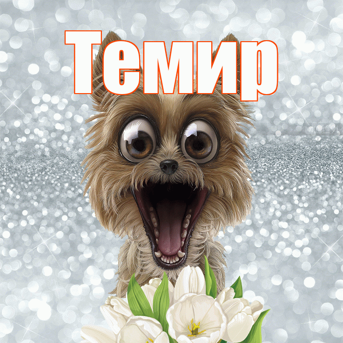 Темир! С добрым утром! Красивая открытка Темиру!