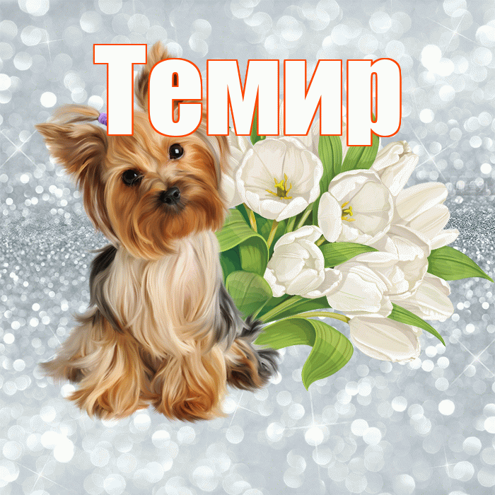 Темир! С добрым утром! Красивая открытка Темиру!