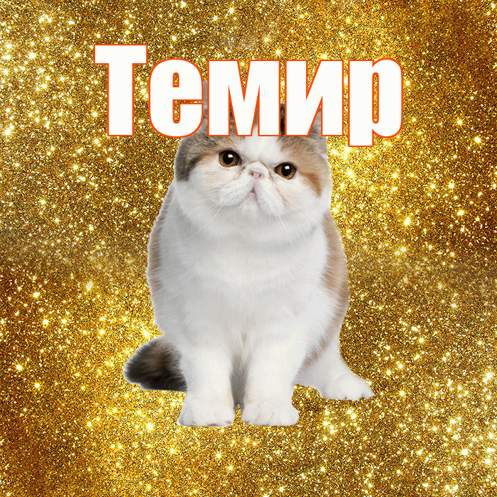 Темир! С добрым утром! Красивая открытка Темиру!