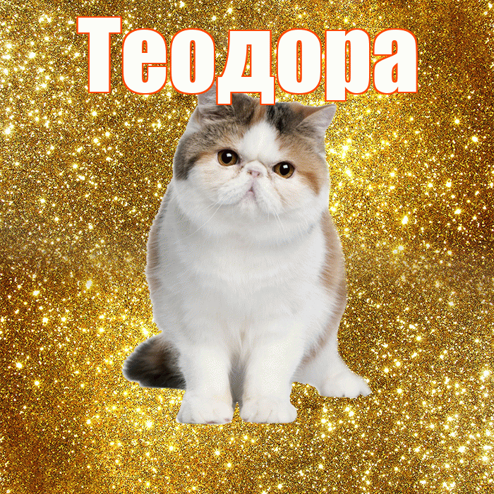 Теодора! С добрым утром! Красивая открытка Теодоровне!