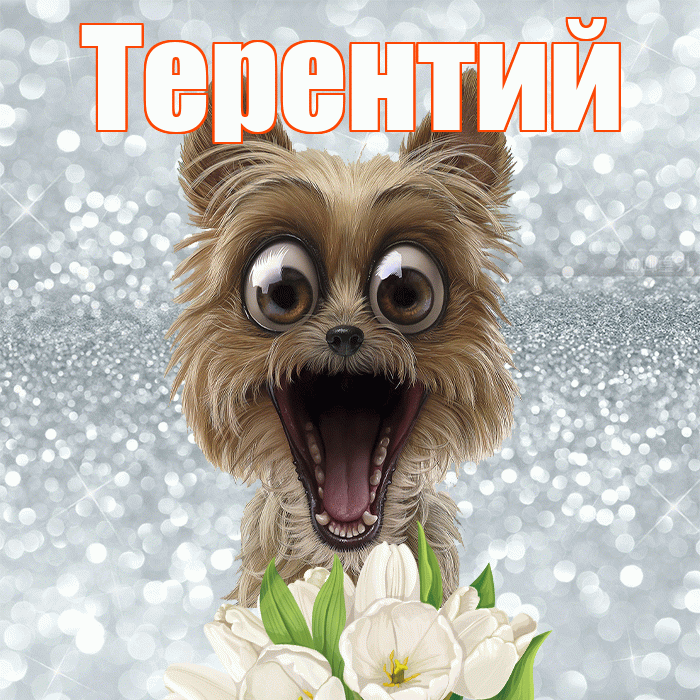Терентий! С добрым утром! Красивая открытка Терентию!