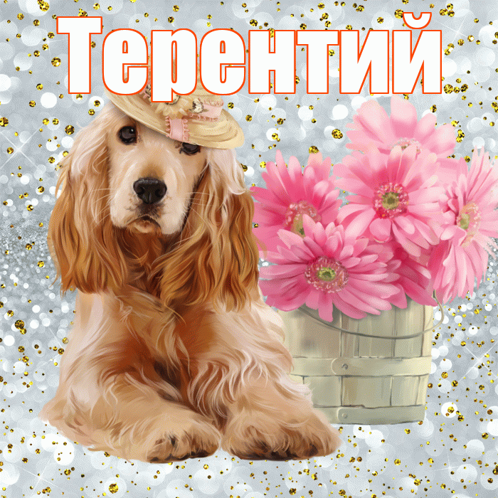 Терентий! С добрым утром! Красивая открытка Терентию!