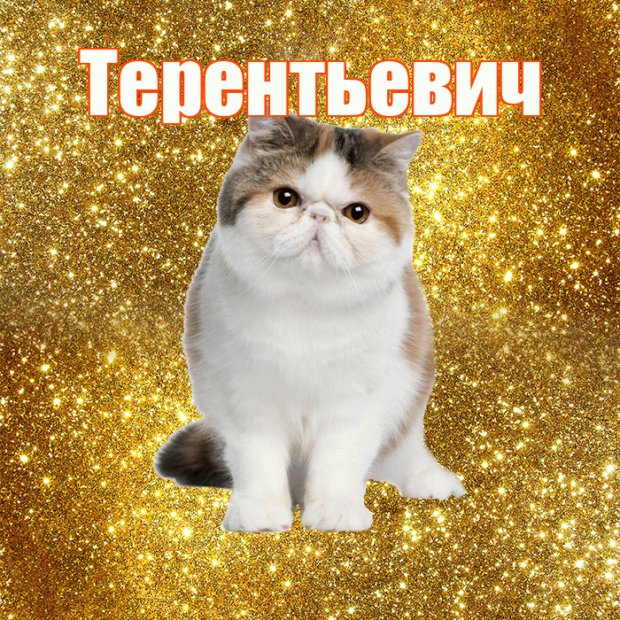 Терентьевич! С добрым утром! Красивая открытка Терентьевичу!