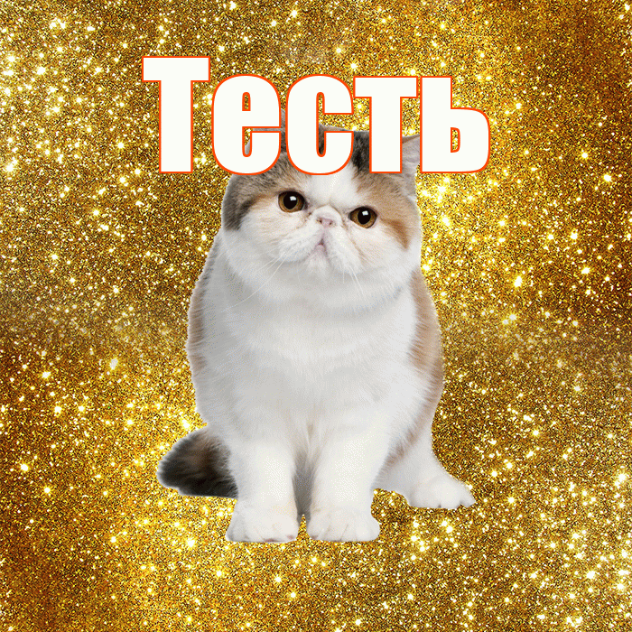 Тесть! С добрым утром! Красивая открытка Тестю!