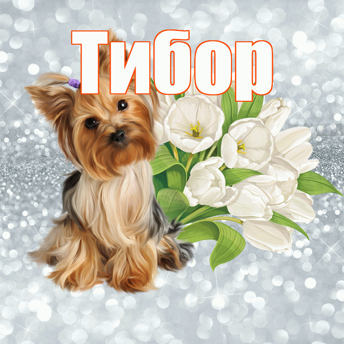 Тибор! С добрым утром! Красивая открытка Тибору!