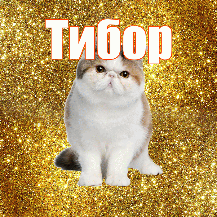 Тибор! С добрым утром! Красивая открытка Тибору!